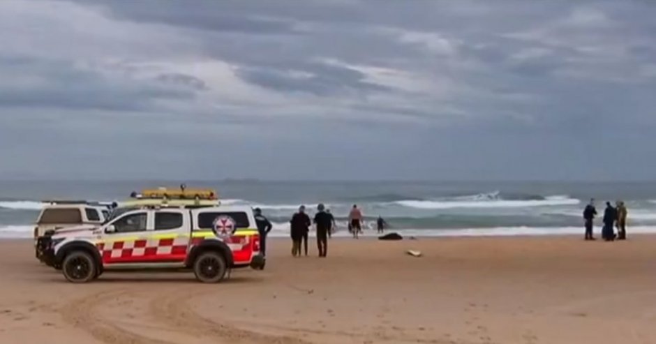 La víctima sufrió importantes heridas en las piernas, falleciendo en el lugar pese a los intentos de mantenerlo con vida. (Foto: @7NewsWideBay)
